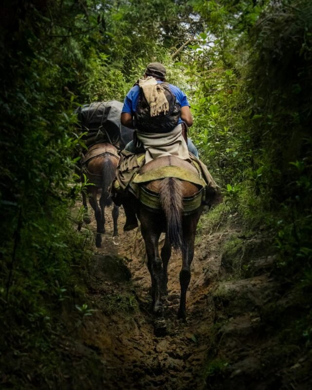 Illustration of stressful office environment